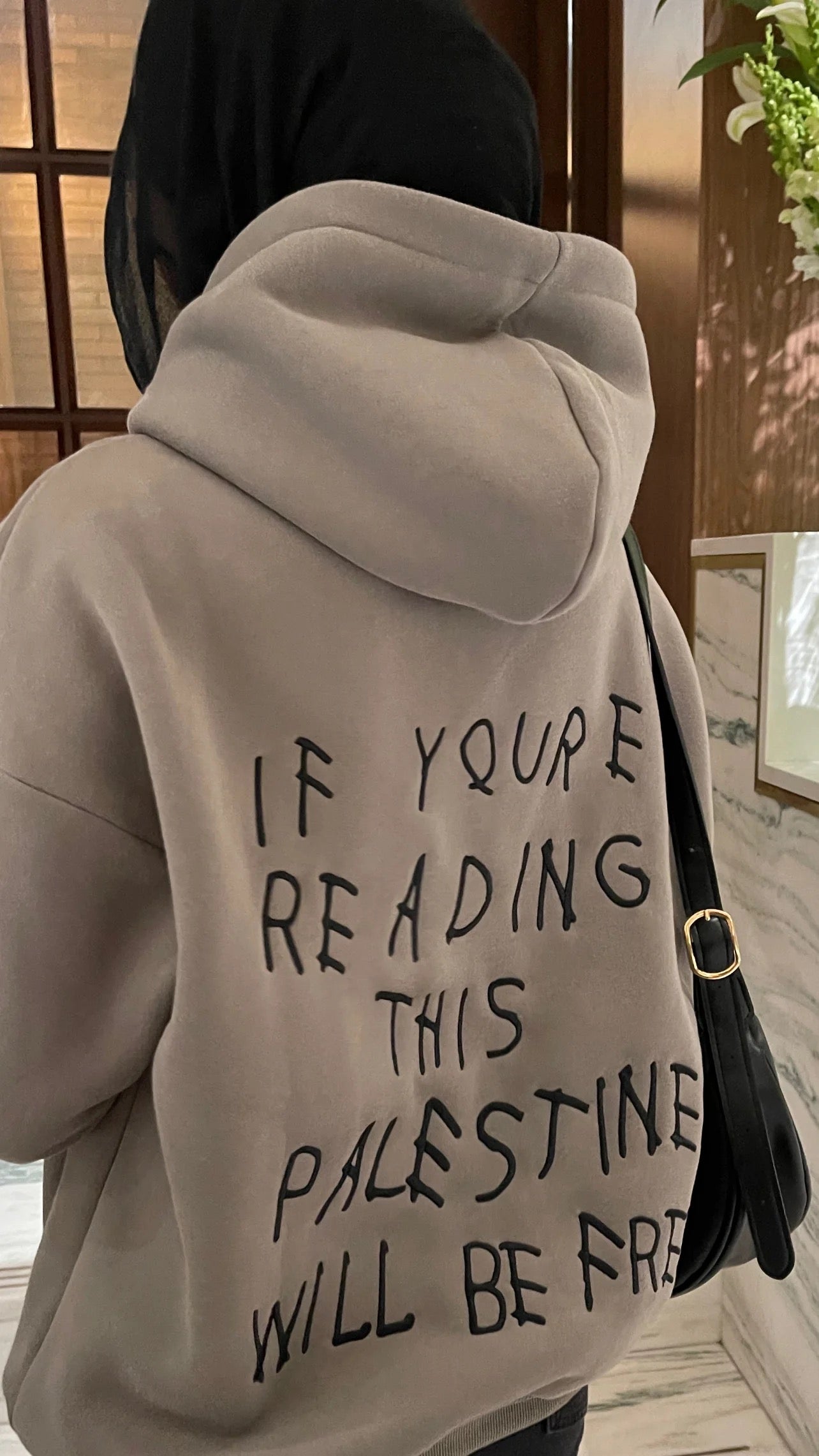 Palestine Hoodie ( + one for free)